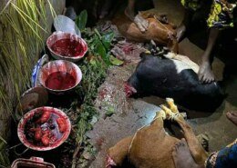 TORONTO (((+27631898589 )) BEST DEATH SPELL CASTER / REVENGE SPELLS IN CANADA, USA, UK, AUSTRALIA, FINLAND, DENMARK, NORWAY, AUSTRALIA, HEX SPELLS IN BELGIUM, SWEDEN, POWERFUL DEATH SPELLS IN FRANCE, GERMANY,NETHERLANDS, BARBADOS, VOODOO SPELLS IN MEXICO, SPAIN, STRONG VOODOO DOLL SPELLS IN SCOTLAND, ITALY, SWITZERLAND, CYPRUS, POWERFUL DEATH SPELLS CASTER IN SINGAPORE POWERFUL PROTECTION SPELLS CASTER IN UK